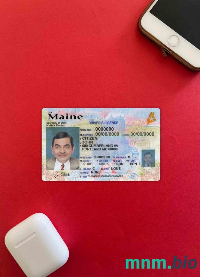USA Maine stan szablon prawa jazdy w formacie PSD, ze wszystkimi czcionkami (2019 – obecnie) photolook